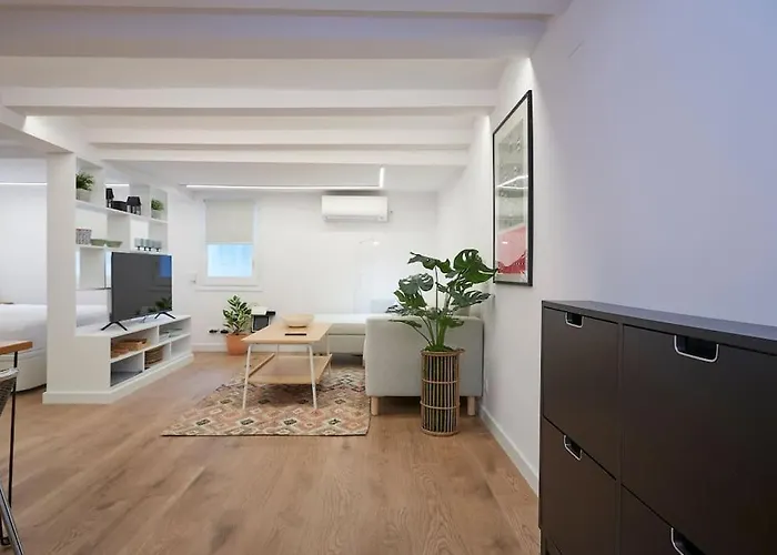 Appartamento Acogedor En El Eixample